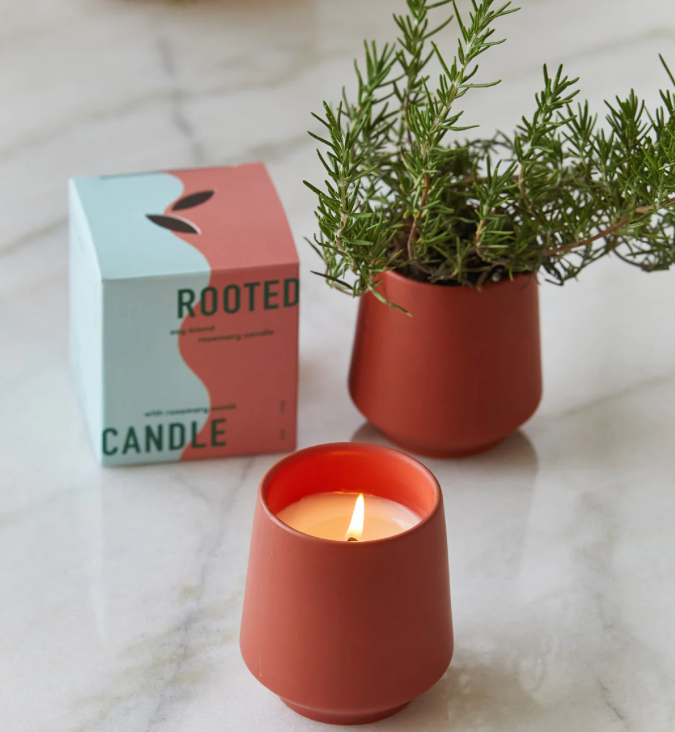 Rooted Candles