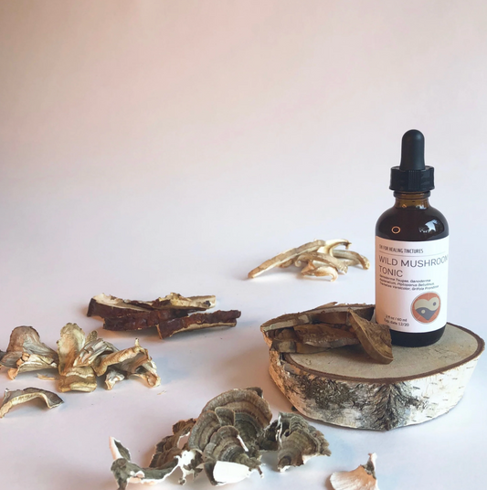 Wild Mushroom Tonic